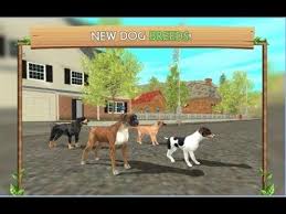 Youtube Dog Adventure Dogs Online Dogs
