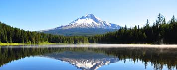 Oregon coast hotels, inns, guesthouses, b&bs, and other places to stay. See All Bed Breakfasts Inns And Boutique Hotels Select Registry