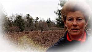 Wildlife Was Everywhere Plus Top 10 Adventure Book Reviews from 2024