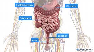 Eine verstopfung (obstipation) ist eine zu geringe stuhlfrequenz (weniger als 3 mal die woche), ein fehlender stuhldrang. Verstopfung Obstipation Ursachen Hausmittel Medikamente Netdoktor