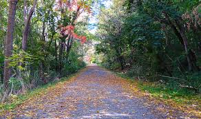 No, the hotel does not have a lift. Project Wentworth Stairs And Side Trails