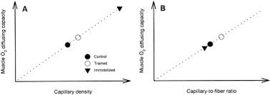 Image result for Diffusing Capacity