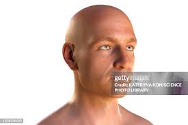 159 Mans Chin High Res Illustrations