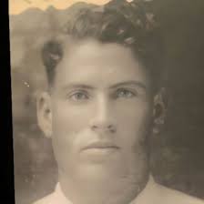 Peacock Family History: Last Name Origin & Meaning