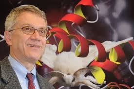 Ground-Breaking Discovery Made in Preventing Devastating Citrus Disease