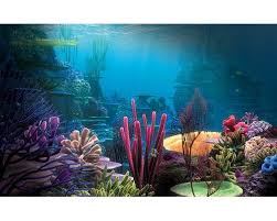 Pin On Aquascaping