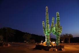 Christmas At The Desert Alternative Christmas Tree Cactus Christmas Trees Christmas Cactus