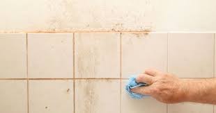 natuurlijk product tegen badkamerschimmel wonen tuinieren margriet badkamer tegels schoonmaken schoonmaaktips badkamer voegen schoonmaken