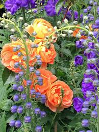 Cottage gardening reached its peak during the victorian era and, with the rise of mass production and distribution of food, the ornamentals became the focus in. Classic Cottage Garden Flowers Susan Rushton