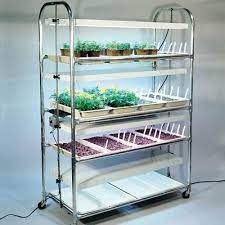 We did not find results for: All Grow Lights Plant Stands For Indoor Plants