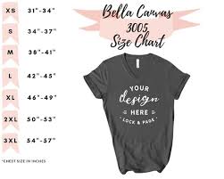 Bella Canvas 3005 Size Chart V Neck T Shirt Mockup Flat Lay