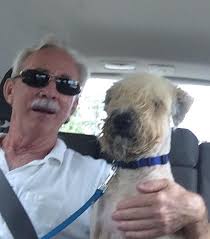 They say owners and pets look alike. Ann is not amused.