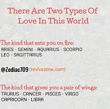 Fly Birdie Fly Zodiac Signs Gemini Zodiac Star Signs Zodiac Signs Funny