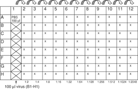 If you live in or travel to an area where many people are infected with the h1n1 virus, you. The Mouse As Model System To Study Host Pathogen Interactions In Influenza A Infections Wilk 2012 Current Protocols In Mouse Biology Wiley Online Library