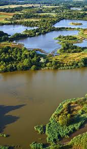 Les Etangs De La Brenne L Invention D Un Paysage Paysage De Loire Paysage Parc Naturel
