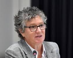 Beached beaked whale butchered