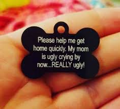 15 Quotes That Will Make You Want To Hug Your Pet In 2020 Dog Tags Losing A Pet Dogs