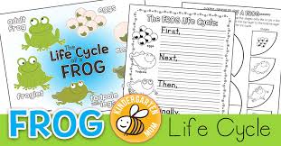 Frog Life Cycle Printables Kindergarten Mom