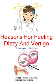 Pin On Vertigo Remedies Doctors