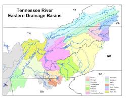 The mission of the tennessee valley railroad museum is to collect for preservation,. Tennessee Valley Authority Lake Basins Rainfall Information