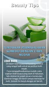 Tuntaskan Permasalahan Komedo Dengan Cara Mudah In 2020 Healthy Skin Care Ubud Spa Body Care