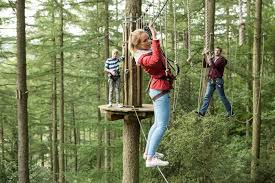 Go Ape Aberfoyle, Aberfoyle – Multi-activity Centre | VisitScotland