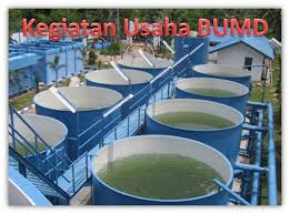 Bentuk Dan Jenis Kegiatan Usaha Bums