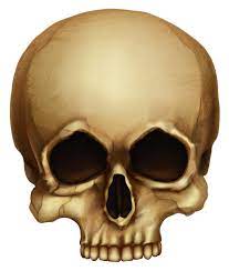 Gallery Recent Updates Skull Halloween Skull Png