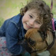 25 cute French Bulldog puppies for sale in Farmington, New Mexico