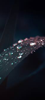 Also explore thousands of beautiful hd wallpapers and background images. Black Android Wallpaper Top Android Wallpapers