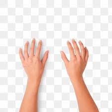 hand typing images hand typing transparent png free download hand typing transparent png