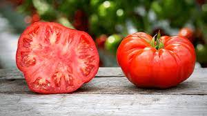 We did not find results for: How To Grow Beefsteak Tomatoes In Pots Slick Garden