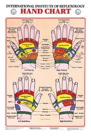 Hand Reflexology Chart International Institute Of