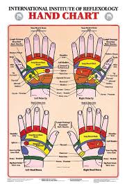 Hand Reflexology Chart International Institute Of