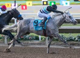 Sarah estanislau fudendo xvideos non-VIP guests understand