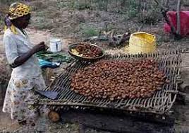 Image result for Strychnos madagascariensis