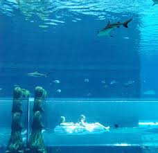 Atlantis The Palm Dubai Laterooms Com Vacation Trips Dubai Hotel Dubai