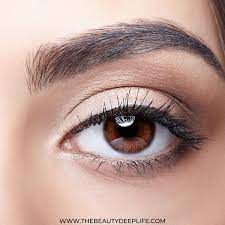 How to apply eyeshadow natural look. Eye Makeup For Beginners Step By Step Looks You Can Easily Pull Off