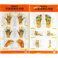 Us 12 58 The Newest Standard Reflection Hologram Of The Hand Foot Bilingual Charts Chinese And English For Self Care In Flip Chart From Office