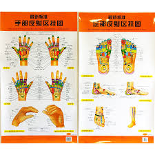 us 12 58 the newest standard reflection hologram of the hand foot bilingual charts chinese and english for self care in flip chart from office