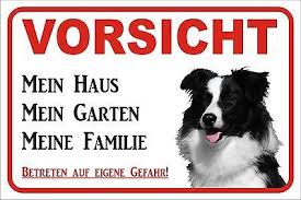 Schild Vorsicht Border Collie Mein Haus 15x20 Bis 40x60cm S0467 Hund Turschild Ebay Border Collie Collie Hunde