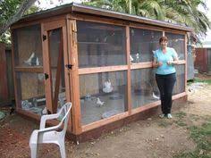 How To Build Pigeon Cages Cheryl S Aviary Keeps Her Pet And Foster Pigeons Happy Comfortable Voliere D Oiseaux Maison Oiseaux Pigeonnier