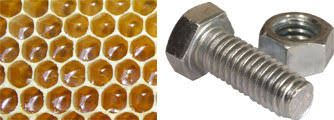 Hexagon