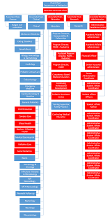 Organization Chart Department Of Pediatrics Mcgill