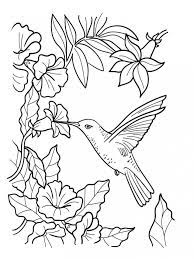 Take a deep breath and relax with these free mandala coloring pages just for the adults. 20 Free Printable Hummingbird Coloring Pages Everfreecoloring Com