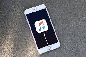 Then connect your ipad to your computer while holding the home button. How To Recover Photos Off Dead Iphone