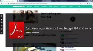 Sekarang aku tahu cara menyimpan semua gambar dari sebuah halaman web. Cara Menyimpan Halaman Situs Sebagai Pdf Di Google Chrome Brankaspedia Blog Tutorial Dan Tips