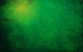 Green Wallpaper Hd 70 Pictures Download green wallpapers hd, beautiful and cool high quality background images collection for your device. green wallpaper hd 70 pictures