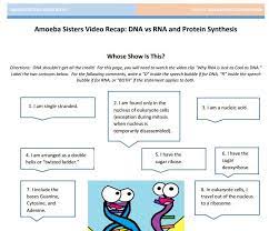 Dna Vs Rna Protein Synthesis Handout Made By The Amoeba Sisters Click To Visit Website And Scr Persuasive Writing Prompts Biology Lessons Biology Worksheet