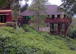 Tidak ditemukan bekas tanda kekerasan di tubuh korban. Wisata Dan Liburan 2021 Di Lawang Indonesia Tripadvisor